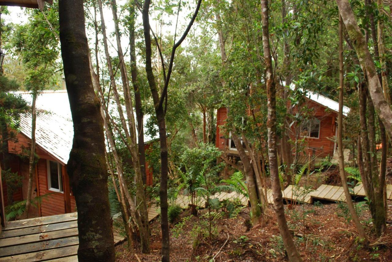 Chucao Bosque y Cabañas accommodation